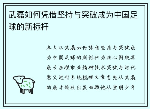 武磊如何凭借坚持与突破成为中国足球的新标杆